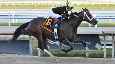 Los hermanos Ortiz arrasan el miércoles en Gulfstream Park Los hermanos Ortiz arrasan el miércoles en Gulfstream Park