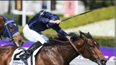 El mejor jinete del mundo participará en este evento el viernes en Arabia Saudita El mejor jinete del mundo participará en este evento el viernes en Arabia Saudita