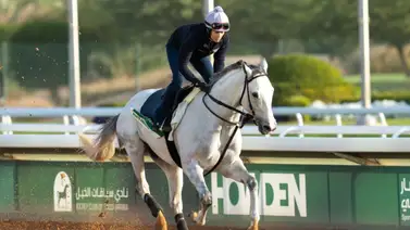 Así se reparten los 20 millones de dólares de la Saudi Cup Así se reparten los 20 millones de dólares de la Saudi Cup