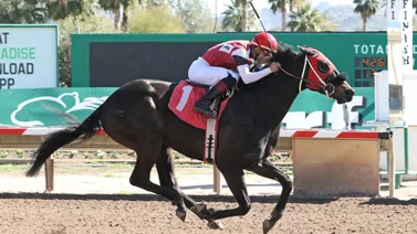 Jockey puertorriqueño llega a 1.000 triunfos en Estados Unidos