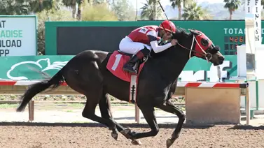 Jockey puertorriqueño llega a 1.000 triunfos en Estados Unidos Jockey puertorriqueño llega a 1.000 triunfos en Estados Unidos