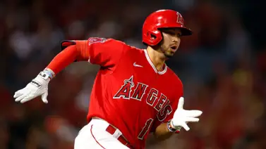 LVBP: ¡No descansan! Leones del Caracas y Águilas del Zulia hacen el primer cambio de la "off-season" LVBP: ¡No descansan! Leones del Caracas y Águilas del Zulia hacen el primer cambio de la "off-season"