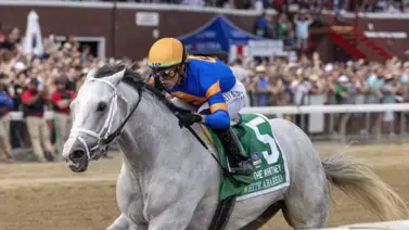 Estas son las montas de Irad Ortiz Jr. para el 24 de febrero en Arabia Saudita Estas son las montas de Irad Ortiz Jr. para el 24 de febrero en Arabia Saudita