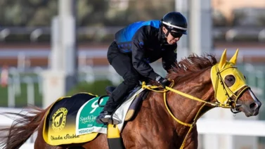 Conoce cuál es el primer caballo retirado de la Saudí Cup y su reemplazo