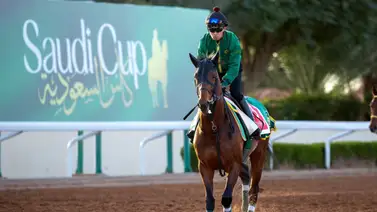 Conoce el horario de las carreras de este sábado en la Saudí Cup Conoce el horario de las carreras de este sábado en la Saudí Cup