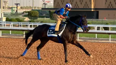 Caballo entrenado por venezolano hace tremenda actuación en esta millonaria carrera en Arabia Saudita Caballo entrenado por venezolano hace tremenda actuación en esta millonaria carrera en Arabia Saudita