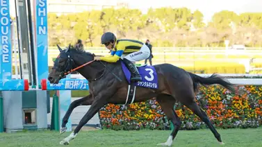 ¡Respeto! Así felicitó el jockey de Ushba Tesoro a Junior Alvarado por la victoria en la Saudí Cup ¡Respeto! Así felicitó el jockey de Ushba Tesoro a Junior Alvarado por la victoria en la Saudí Cup