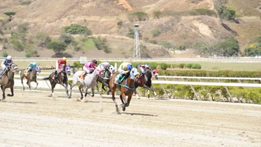 Datos de Última Hora para el Hipódromo La Rinconada 25-02-2024