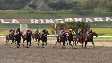 Aquí están los favoritos de la cátedra para el 5y6 Nacional de la reunión 7 del 2024 en La Rinconada