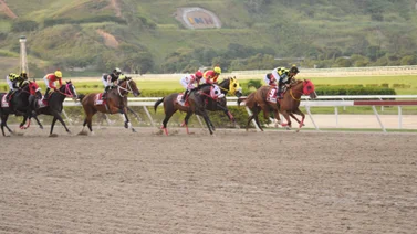 Estos son los retirados de la séptima reunión del Hipódromo La Rinconada este domingo 25-02-2024