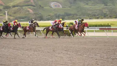 Estos son los retirados de la séptima reunión del Hipódromo La Rinconada este domingo 25-02-2024 Estos son los retirados de la séptima reunión del Hipódromo La Rinconada este domingo 25-02-2024