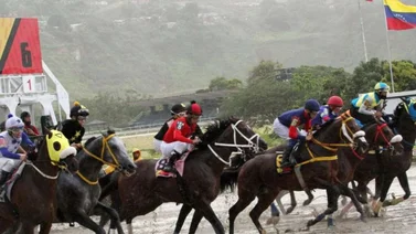 Hipódromo La Rinconada se prepara para una nueva jornada de emociones con D'Angelo a la cabeza