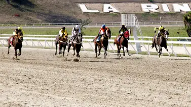 Cuadros del 5y6 nacional pagan más de $6.000 este domingo en La Rinconada Cuadros del 5y6 nacional pagan más de $6.000 este domingo en La Rinconada