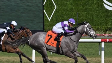 Emisael Jaramillo arrasa este fin de semana en Gulftream Park