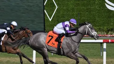 Emisael Jaramillo arrasa este fin de semana en Gulftream Park Emisael Jaramillo arrasa este fin de semana en Gulftream Park