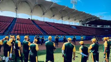 LMBP: Samanes de Aragua realiza su primer movimiento de cara a la venidera zafra LMBP: Samanes de Aragua realiza su primer movimiento de cara a la venidera zafra