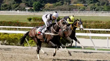 Jockey aprendiz más destacado de la reunión siete suspendido en La Rinconada Jockey aprendiz más destacado de la reunión siete suspendido en La Rinconada
