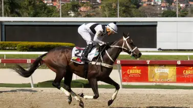 Mira por cuánto tiempo suspenden a Jaime Lugo en La Rinconada Mira por cuánto tiempo suspenden a Jaime Lugo en La Rinconada