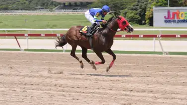 Conoce lo que ocurrió con Cimarrón después de su carrera Conoce lo que ocurrió con Cimarrón después de su carrera