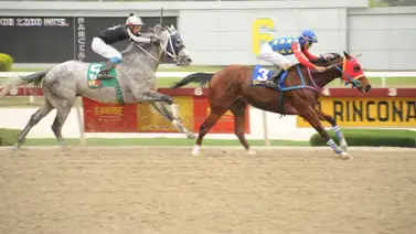 Conoce la verdadera razón por la cual no montó Alejandro Briceño en La Rinconada Conoce la verdadera razón por la cual no montó Alejandro Briceño en La Rinconada