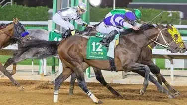 Conoce la apasionante historia oculta del gran caballo Señor Buscador Conoce la apasionante historia oculta del gran caballo Señor Buscador