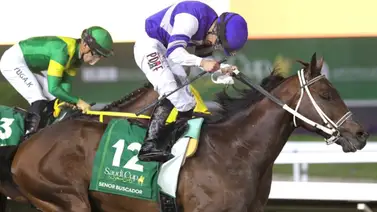 ¡Buscador de Millones! Mira que ejemplar llegó a Dubai ¡Buscador de Millones! Mira que ejemplar llegó a Dubai