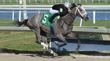 Entrenador Campeón alcanza esta significativa cantidad de victorias Entrenador Campeón alcanza esta significativa cantidad de victorias