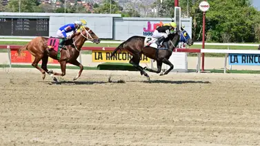 Este curioso hecho en el hipismo venezolano se repite después de 58 años Este curioso hecho en el hipismo venezolano se repite después de 58 años