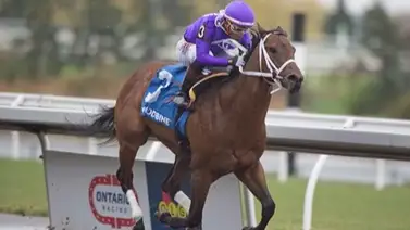 Publicado informe sobre 14 ejemplares muertos en este hipódromo de Estados Unidos Publicado informe sobre 14 ejemplares muertos en este hipódromo de Estados Unidos