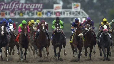 Así van las estadísticas de jockeys y trainers en Gulfstream Park