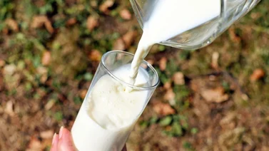 ¡Fin de mundo! Conoce la insólita bebida del futuro