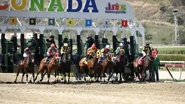Así llega la estadística de jinetes de La Rinconada a la reunión ocho Así llega la estadística de jinetes de La Rinconada a la reunión ocho