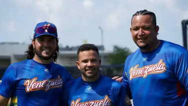 MLB: ¿Quiénes son los venezolanos activos con más jonrones en Grandes Ligas? MLB: ¿Quiénes son los venezolanos activos con más jonrones en Grandes Ligas?