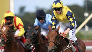 Suspendido jockey campeón por causar rodada a un colega Suspendido jockey campeón por causar rodada a un colega