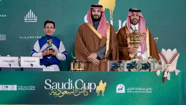 Propietario de Señor Buscador aclara quien es el dueño actual del caballo Propietario de Señor Buscador aclara quien es el dueño actual del caballo