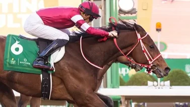 ¡Imponente! Potro invicto va por esta clasificatoria al Kentucky Derby 