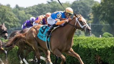 Pletcher se encomienda a Irad Ortiz Jr. y a José Luis Ortiz en tarde clásica 