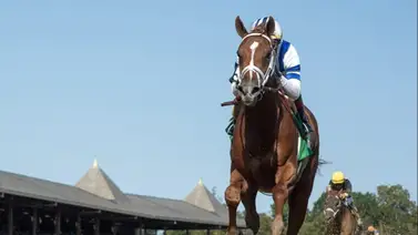 Caballo que costó casi medio millón de dólares reaparece en esta clasificatoria al Kentucky Derby Caballo que costó casi medio millón de dólares reaparece en esta clasificatoria al Kentucky Derby