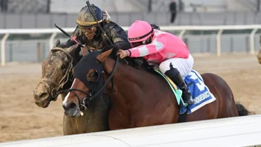 Así se cotizan en las apuestas a futuro los potros en ruta al Kentucky Derby