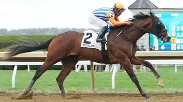 Mira la mala racha que deberá cortar el hermano completo de Mage Mira la mala racha que deberá cortar el hermano completo de Mage