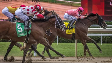 Sigue aquí, EN VIVO, la ruta al Kentucky Derby: San Felipe and Fountain of Youth Stakes