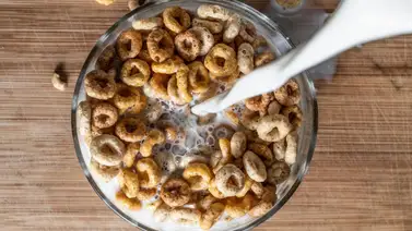 ¿Es saludable? CEO de Kellogg’s emite alarmantes declaraciones que lo dejan en el ojo del huracán ¿Es saludable? CEO de Kellogg’s emite alarmantes declaraciones que lo dejan en el ojo del huracán