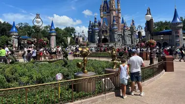 Disney se metió en un lío y una mujer terminó muerta: ¿qué pasó? Disney se metió en un lío y una mujer terminó muerta: ¿qué pasó?