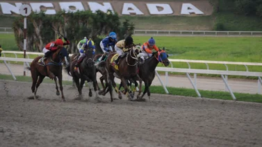 Este es el primer retirado del 5y6 en la octava reunión en La Rinconada