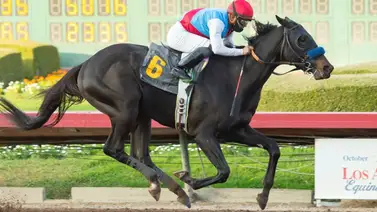 ¡Última Hora! Descalificado oficialmente este ganador del Kentucky Derby ¡Última Hora! Descalificado oficialmente este ganador del Kentucky Derby