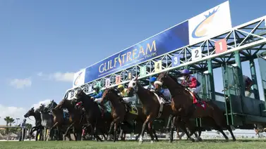 Aquí el Best Bet y los Tips Gulfstream Park 29-02-2024 Aquí el Best Bet y los Tips Gulfstream Park 29-02-2024
