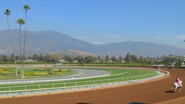 Aplazadas las carreras del sábado en este hipódromo de Estados Unidos