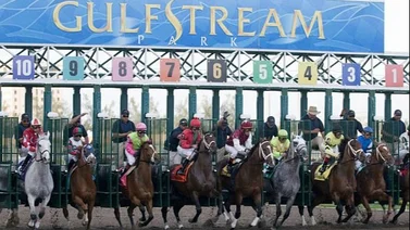 Así quedaron los resultados de las carreras Gulfstream Park 29-02-2024