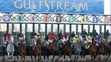 Así quedaron los resultados de las carreras Gulfstream Park 29-02-2024 Así quedaron los resultados de las carreras Gulfstream Park 29-02-2024
