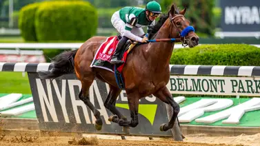 Mira el impresionante cruce de esta hija de Flightline Mira el impresionante cruce de esta hija de Flightline